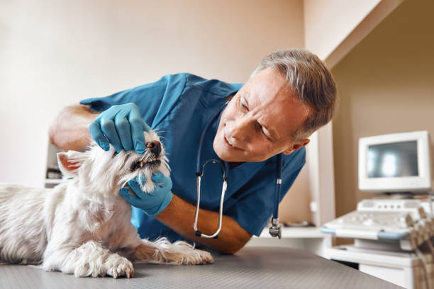 Best Emergency Root Canal Treatment in Belville, NC